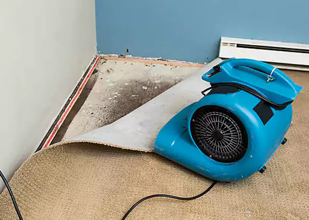 Your Water Damage Experts in Peachtree Corners, GA