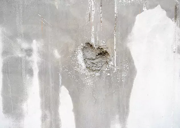 Your Mold Mitigation Solutions Partner in Peachtree Corners, GA