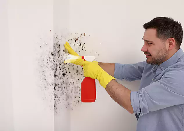 Your Water Mold Fire Restoration Partner in Peachtree Corners, GA