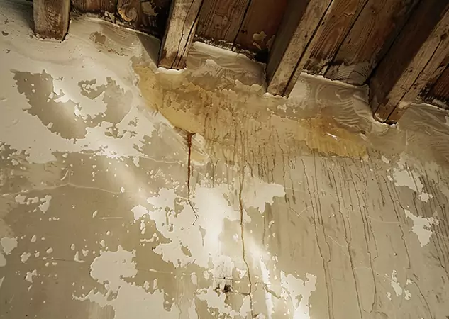 Your Trusted Restoration Company in Peachtree Corners, GA