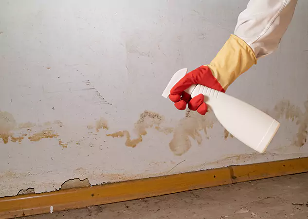 Your Water Restoration and Mold Remediation Specialists in Peachtree Corners, GA