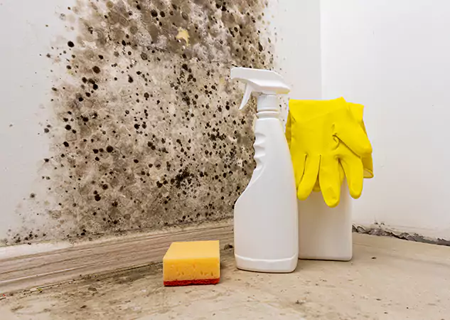 Your Reliable Restoration Company in Peachtree Corners, GA