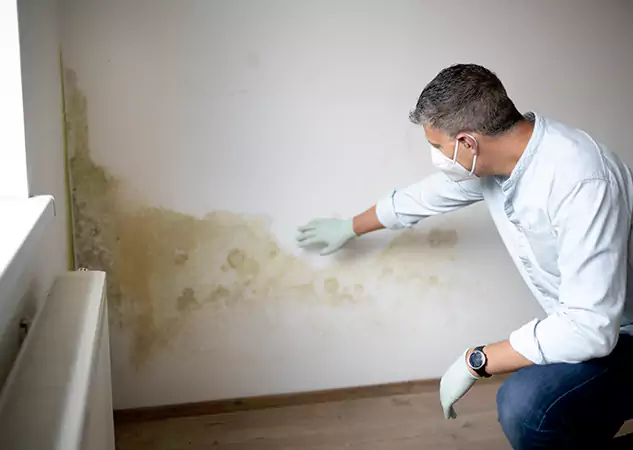 Reach Our Remediation Team Before Damage Grows in Peachtree Corners, GA!