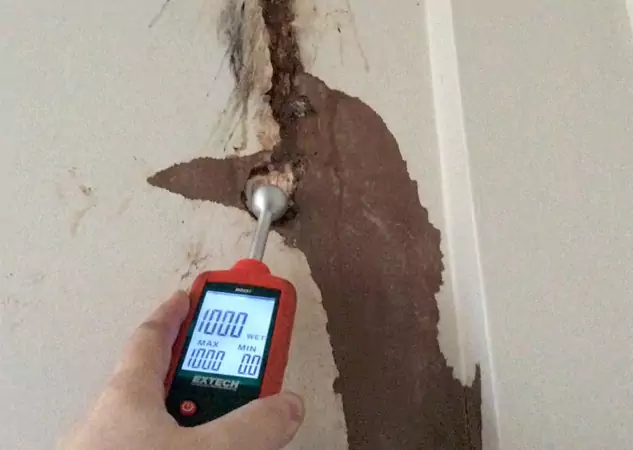 Your Water Damage Assessment Partner in Peachtree Corners, GA