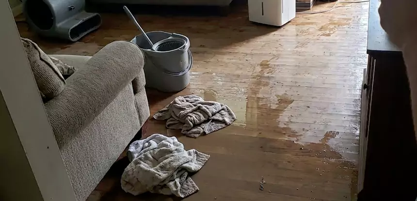 Professional Basement Water Remediation Services in Peachtree Corners, GA