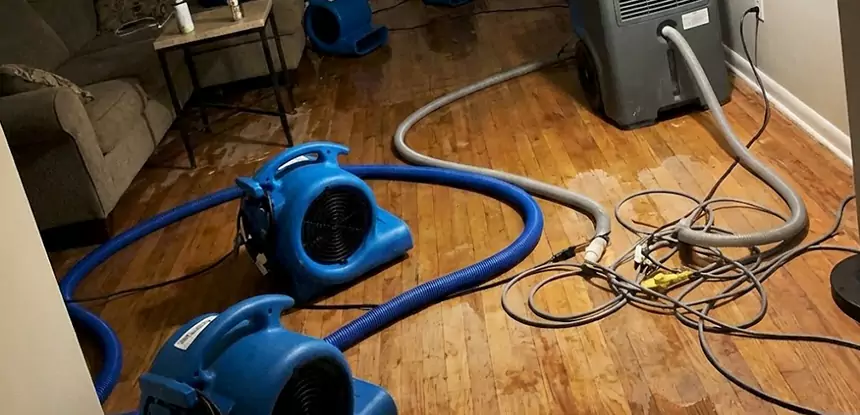 Basement Flood Restoration Services in Peachtree Corners