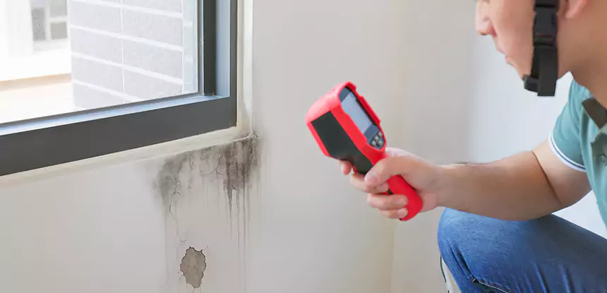 Wall Texture Repair After Mold in Peachtree Corners