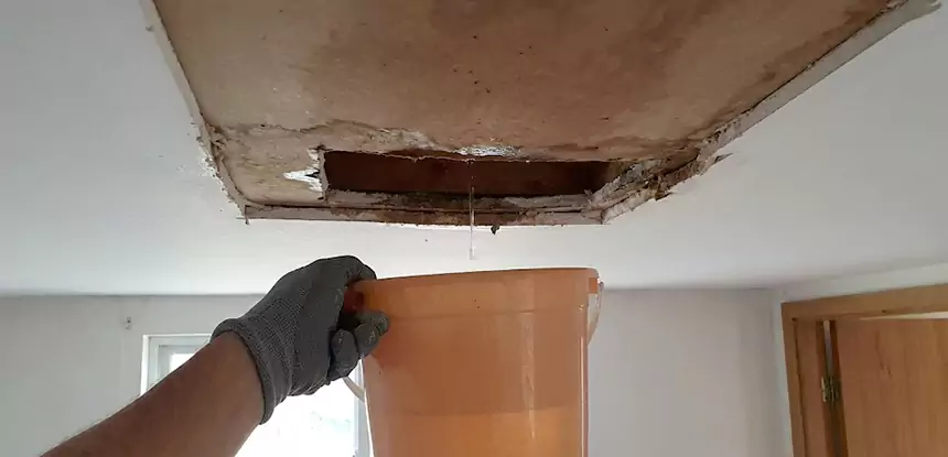 Ceiling Mold Repair Peachtree Corners 