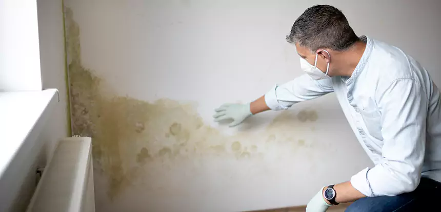 Mold and Water Damage Repair in Peachtree Corners