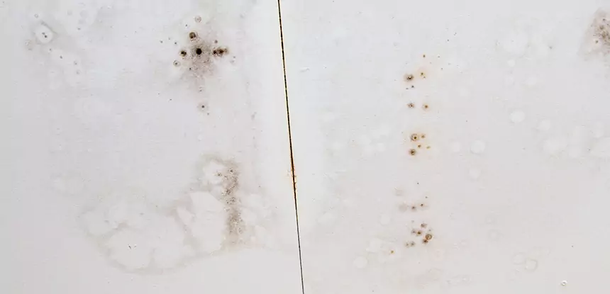 Professional Water Stain Repair Services in Peachtree Corners, GA