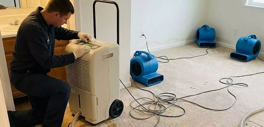 Professional Wet Carpet Removal Services in Peachtree Corners, GA