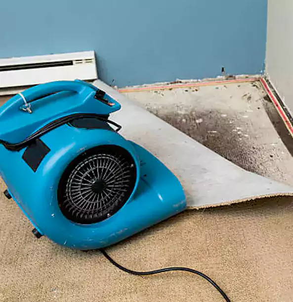 Why Peachtree Corners Trusts Peachtree Corners Restoration Pro for Carpet Flood Recovery?
