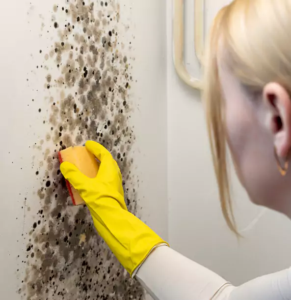Why Peachtree Corners Restoration Pro Leads Mold Remediation in Peachtree Corners?