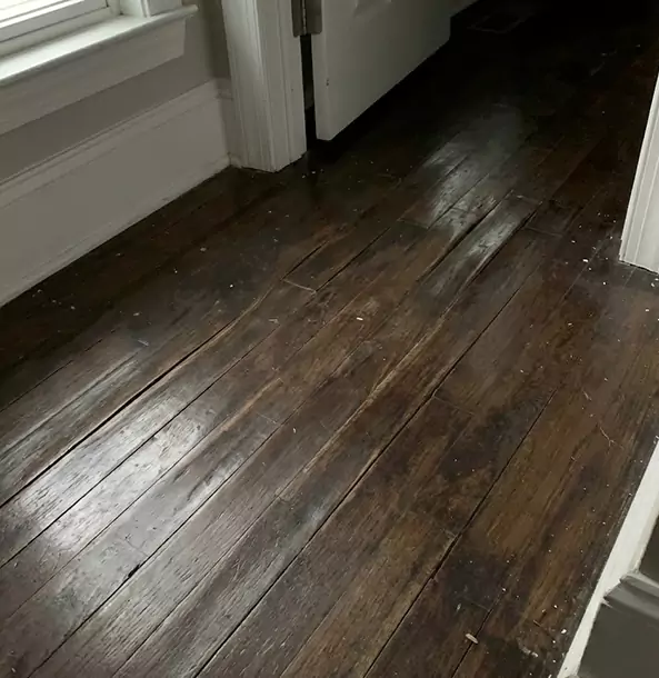 Why Peachtree Corners Homeowners Trust Peachtree Corners Restoration Pro to Fix Water Damaged Wood?