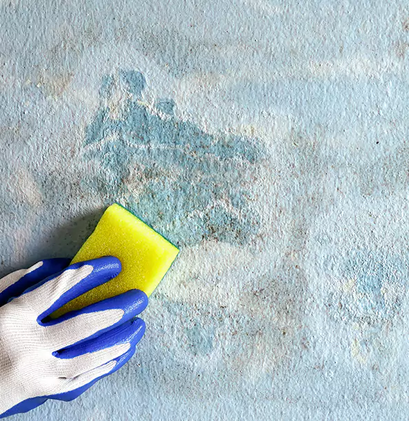 Why Peachtree Corners Restoration Pro Is the Right Choice in Peachtree Corners, GA?