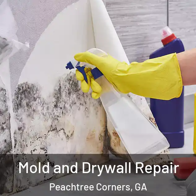  Mold and Drywall Repair Peachtree Corners, GA