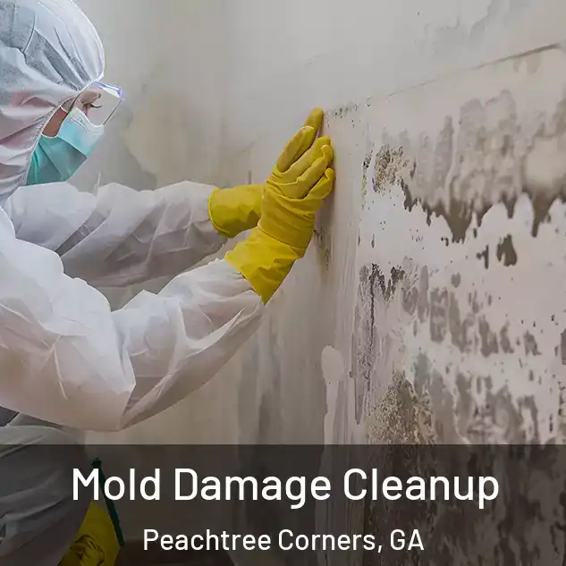  Mold Damage Cleanup Peachtree Corners, GA