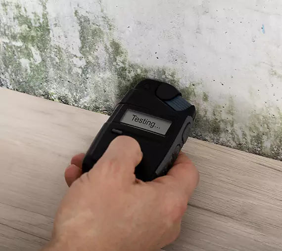 Mold Remediation Service Peachtree Corners