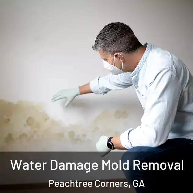  Water Damage Mold Removal Peachtree Corners, GA