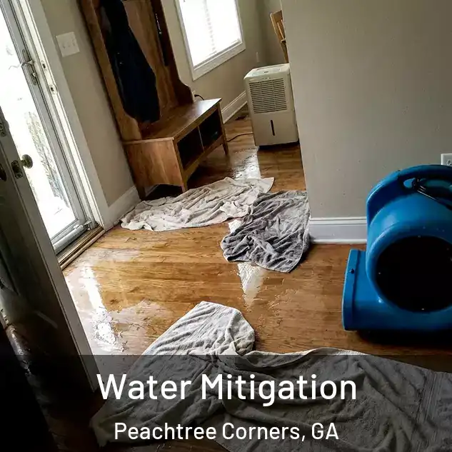  Water Mitigation Peachtree Corners, GA